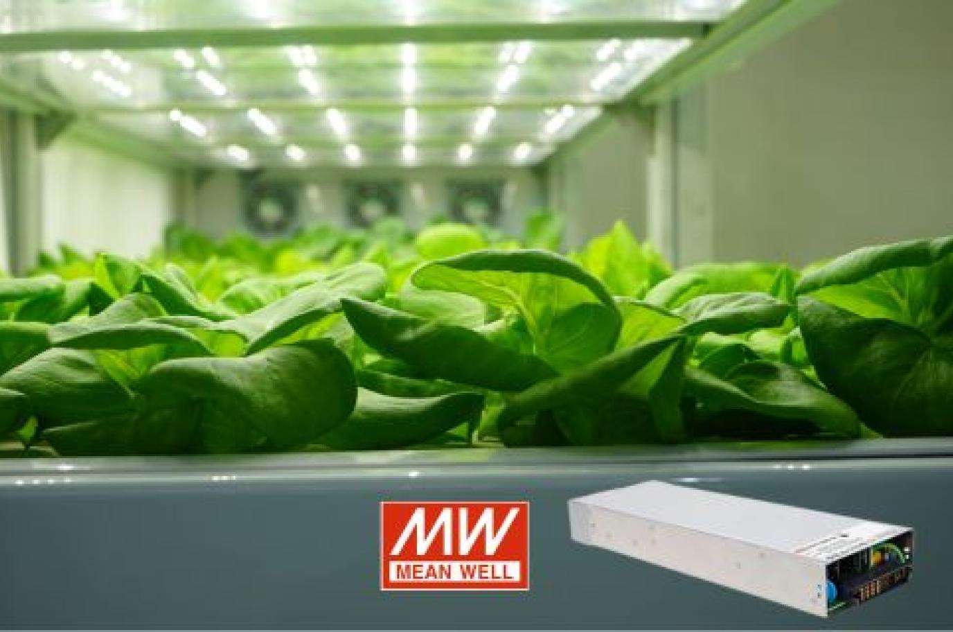 Power Supplies for Vertical Farming